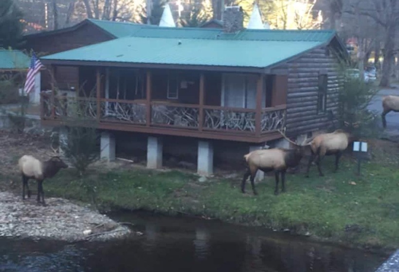 Qualla Cabins And Motel Cherokee Near Casino