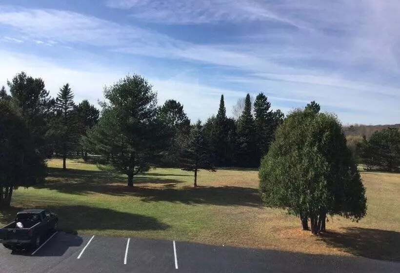 Cedars Motel