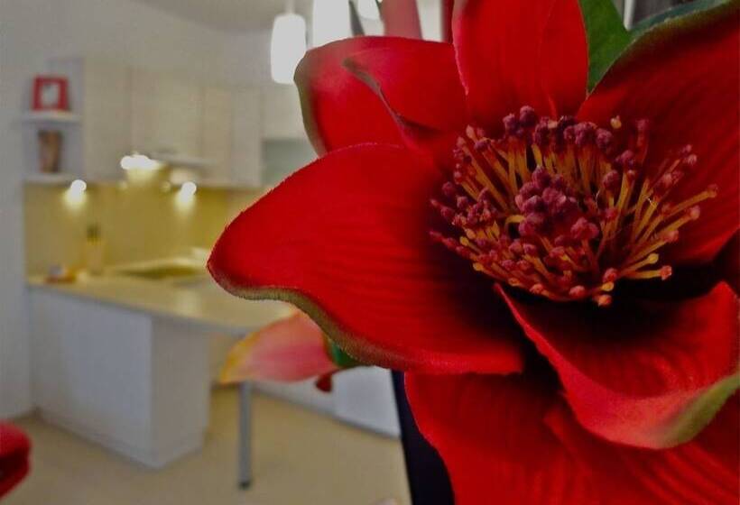 هتل Apartamenty Aparts