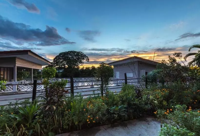 Hotelli Baba Guesthouse