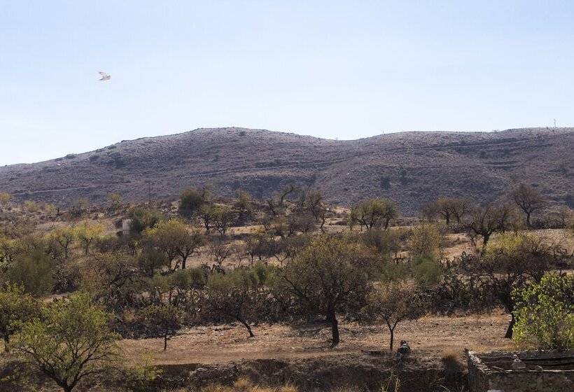 호텔 Casona Granado