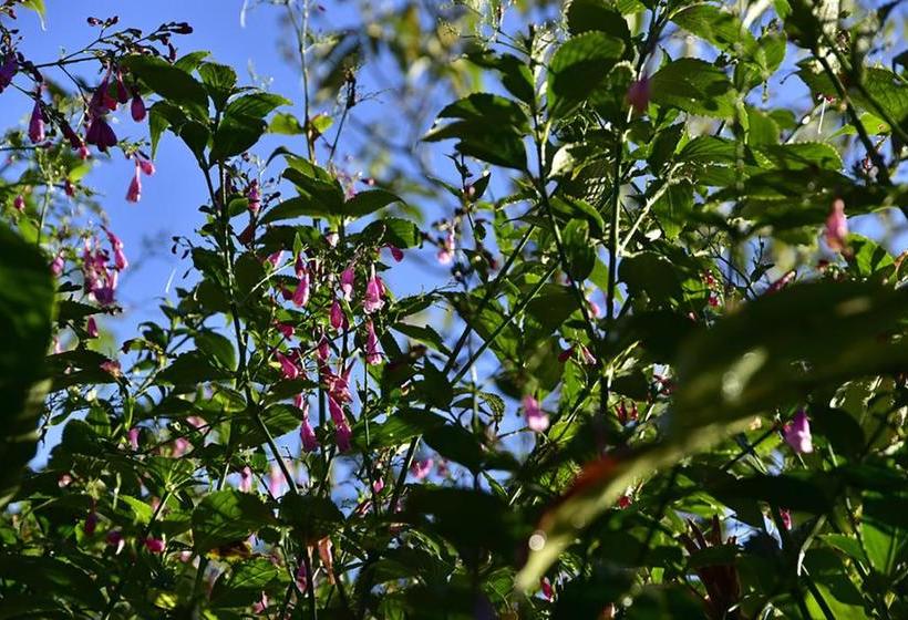 هتل La Ferme Du Pommeau