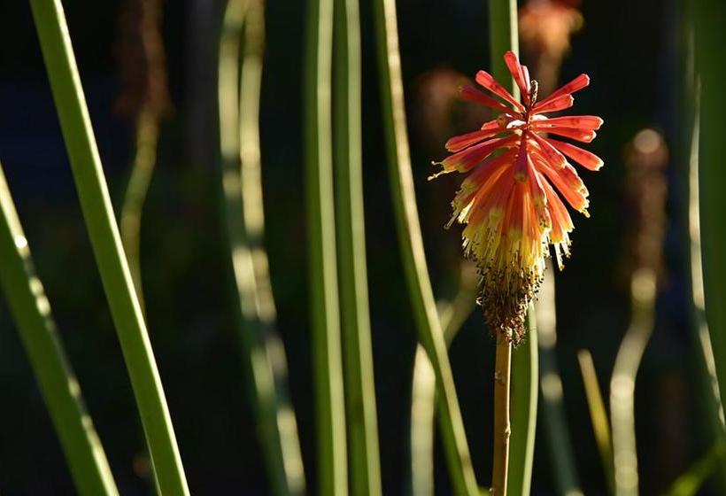 هتل La Ferme Du Pommeau
