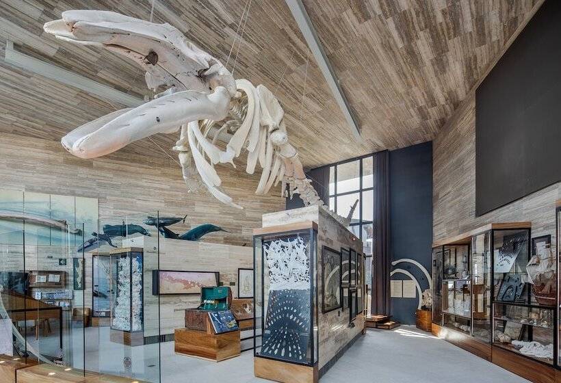 אתר נופש The Club At Solaz Luxury Villas