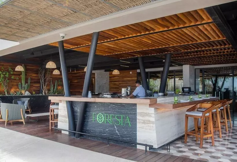 リゾートホテル The Club At Solaz Luxury Villas