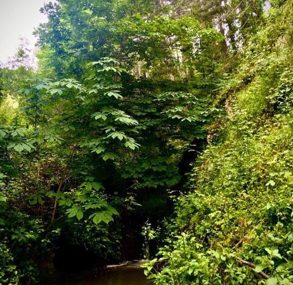 Общежитие Las Huellas De Cameros