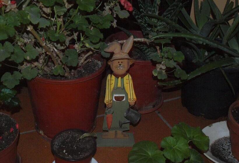 Общежитие Las Huellas De Cameros