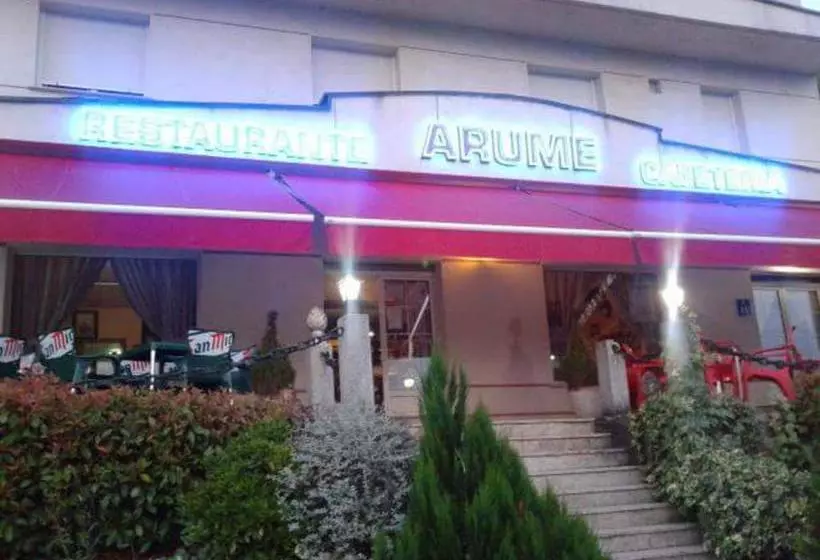 Hotel Arume