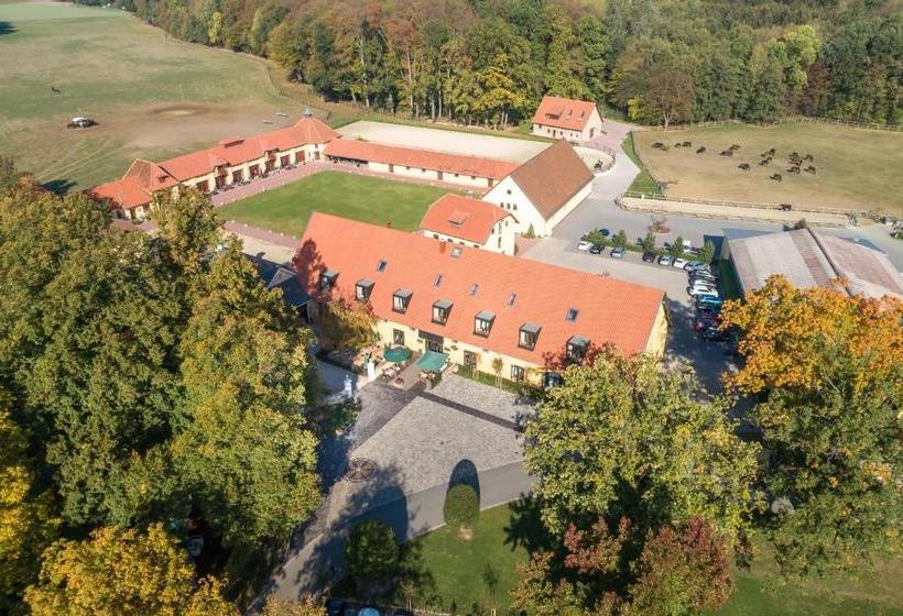 فندق Rittergut Osthoff