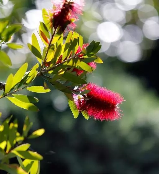 هتل Résidence Le Sporting
