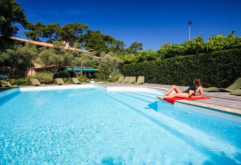 ホテル Résidence Le Sporting