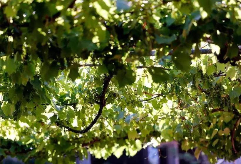 هتل Résidence Le Sporting