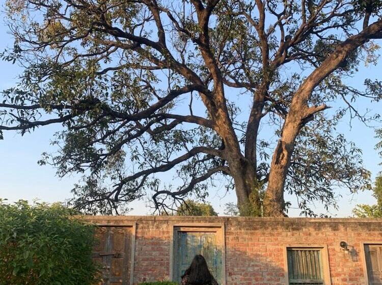 Tree Of Life Resort & Spa Varanasi