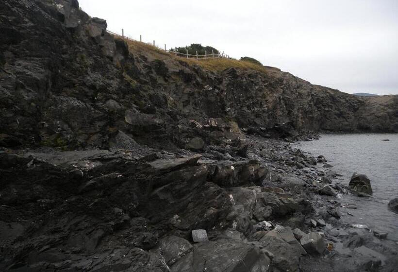 Wildberry Country Lodge B&b