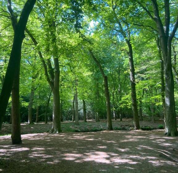 Bed and Breakfast Studio Bergen