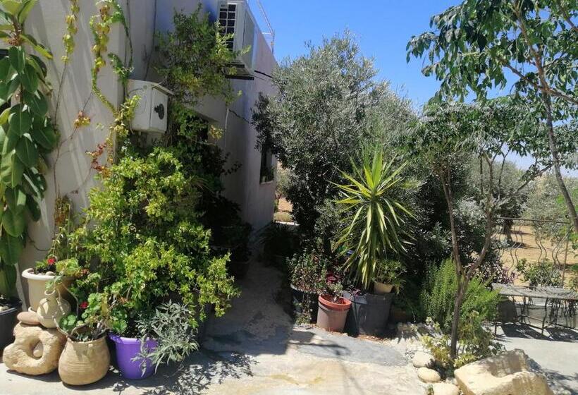 پانسیون Beni Hamida Tourist Restaurant