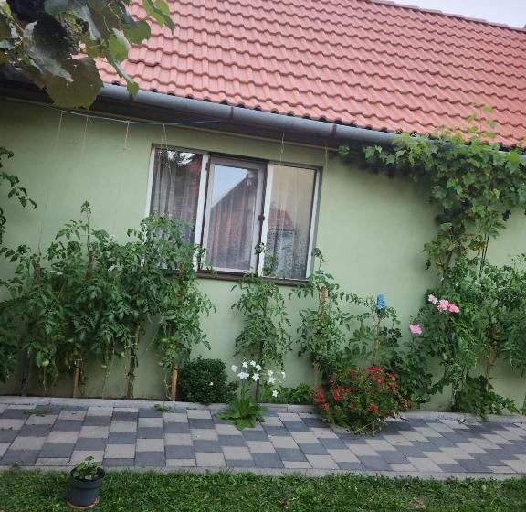 Пансион Casa Maria