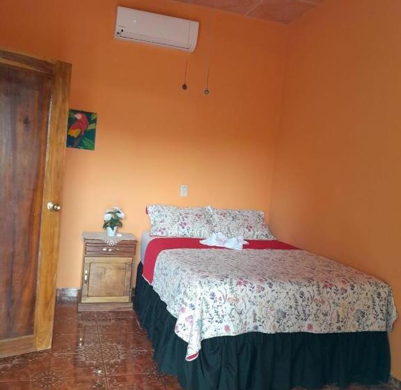 پانسیون Hostal Adonis