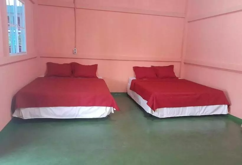 Majatalo Hostal Adonis