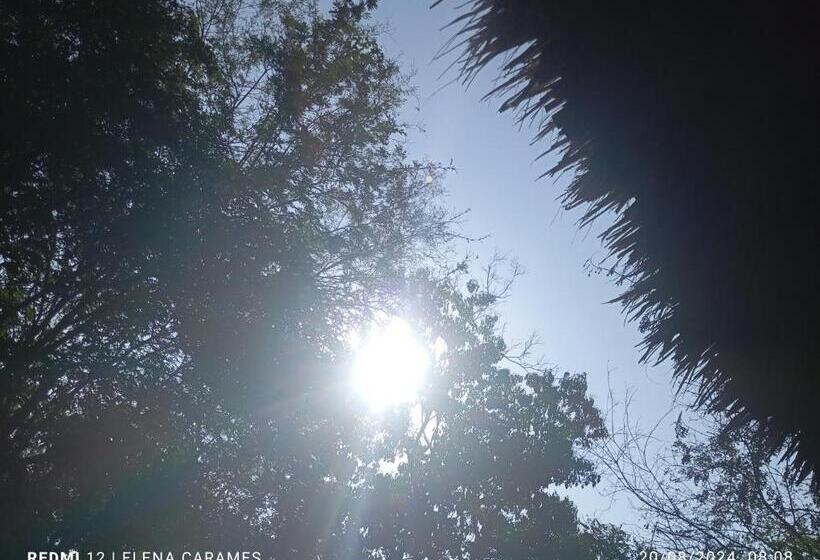 بنسيون Templanza Del Pacífico Hostal