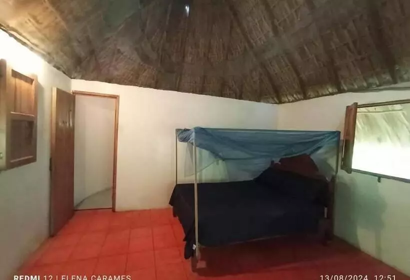 ペンション Templanza Del Pacífico Hostal