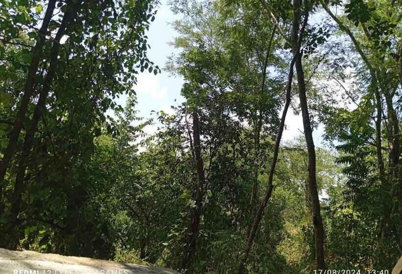 بنسيون Templanza Del Pacífico Hostal