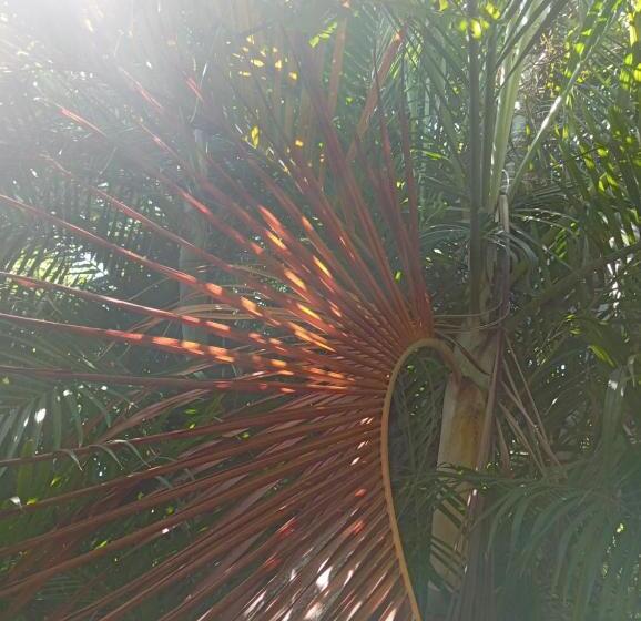 بنسيون Templanza Del Pacífico Hostal