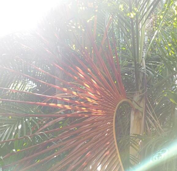 بنسيون Templanza Del Pacífico Hostal