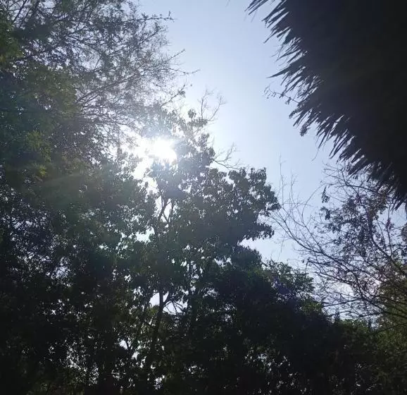 ペンション Templanza Del Pacífico Hostal