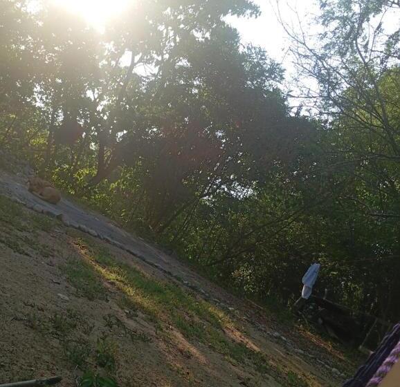 بنسيون Templanza Del Pacífico Hostal