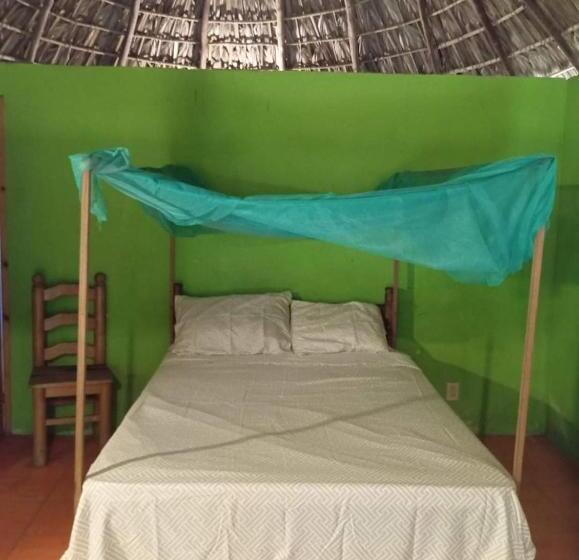 بنسيون Templanza Del Pacífico Hostal