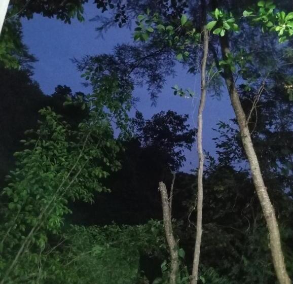 بنسيون Templanza Del Pacífico Hostal