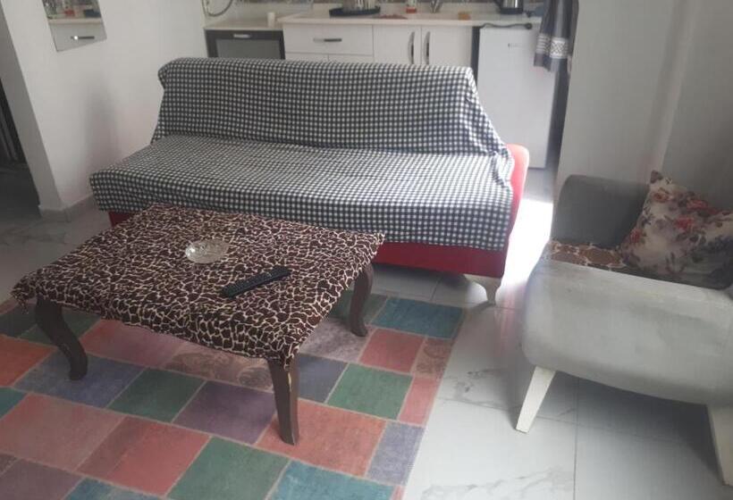 Samsun Merkezde Gunluk Apart