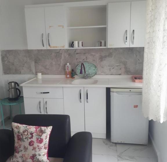 Samsun Merkezde Gunluk Apart