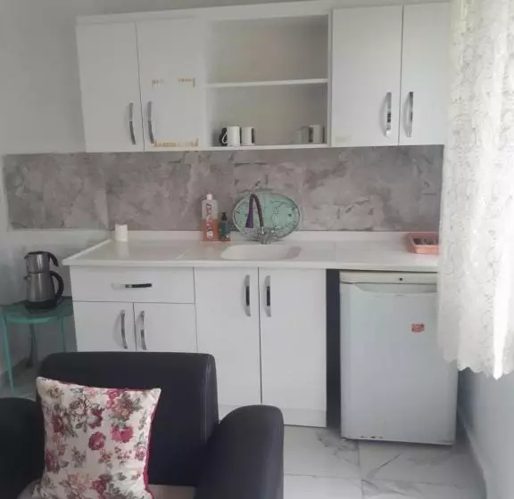 Samsun Merkezde Gunluk Apart