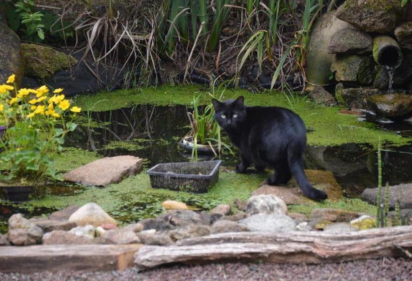 ベッドアンドブレックファースト Chambre A La Campagne