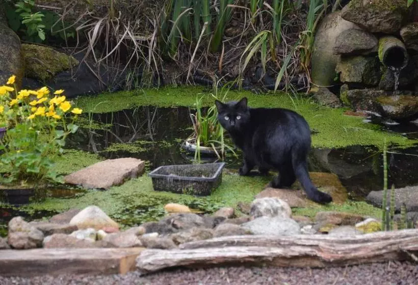 Aamiaismajoitus (B&B) Chambre A La Campagne
