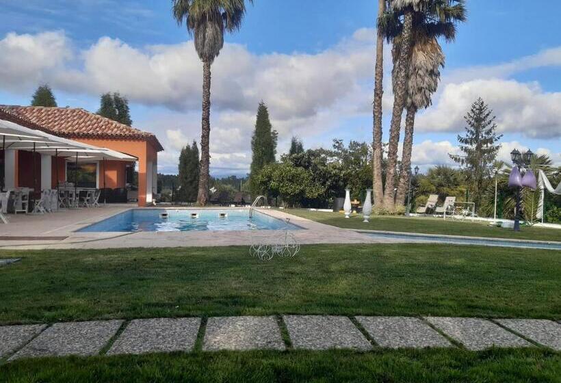 Bed and Breakfast Quinta Dos Cedros   Quarto Das Vinhas