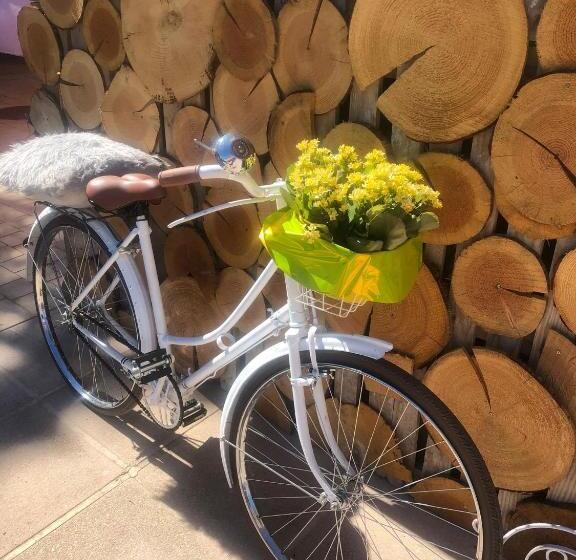 Bed and Breakfast Quinta Dos Cedros   Quarto Das Vinhas