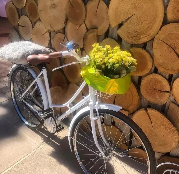 Aamiaismajoitus (B&B) Quinta Dos Cedros   Quarto Das Vinhas