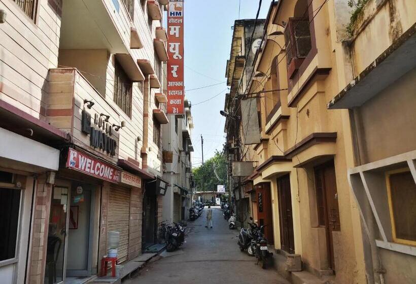 בית מלון כפרי Green