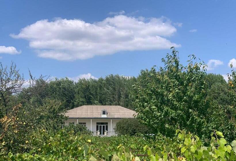 پانسیون Uplistsikhe Guest Paluma