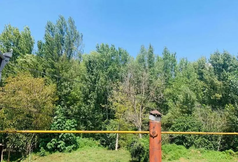 پانسیون Uplistsikhe Guest Paluma