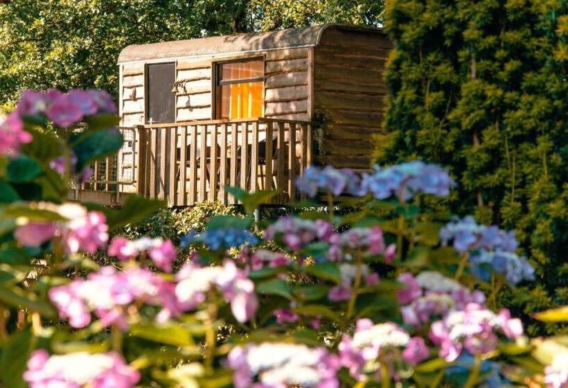 ベッドアンドブレックファースト Bed & Brood Morgenrood