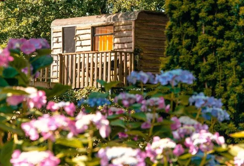 Aamiaismajoitus (B&B) Bed & Brood Morgenrood