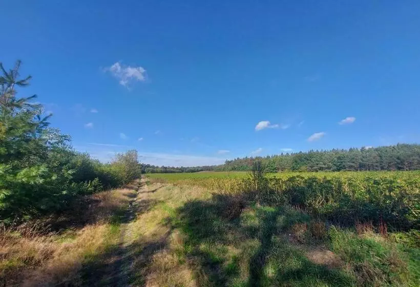 Aamiaismajoitus (B&B) Bed & Brood Morgenrood