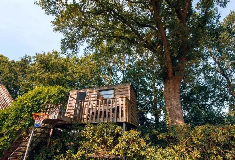 Aamiaismajoitus (B&B) Bed & Brood Morgenrood