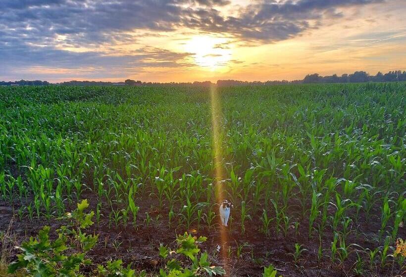 ベッドアンドブレックファースト Bed & Brood Morgenrood