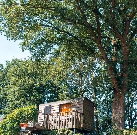 Aamiaismajoitus (B&B) Bed & Brood Morgenrood