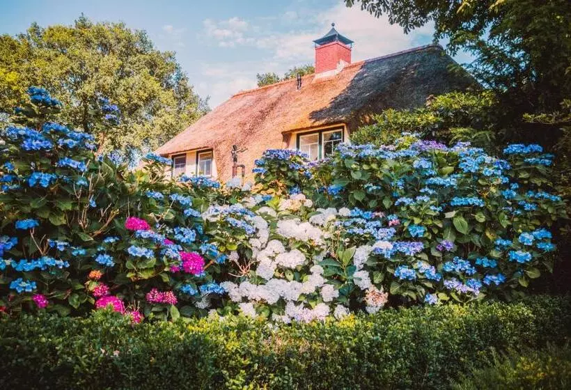 Aamiaismajoitus (B&B) Bed & Brood Morgenrood